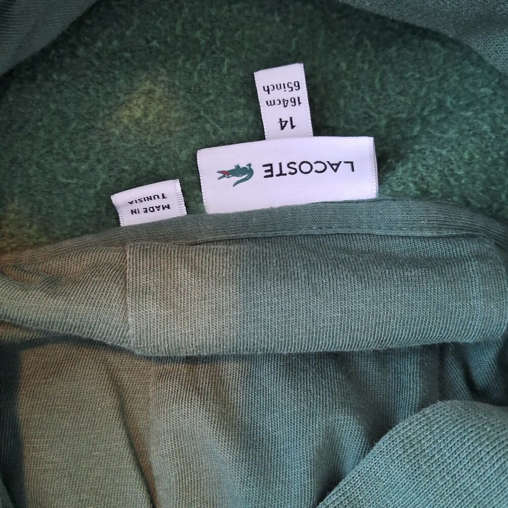 Lacoste Globe Graphic Sweatshirt for Kid's or Adult - Picture 10 of 12